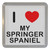 I Love My Springer Spaniel - Plastic Tea Coaster / Beer Mat