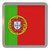 Portugal Flag - Plastic Tea Coaster / Beer Mat