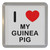 I Love My Guinea Pig - Plastic Tea Coaster / Beer Mat