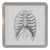 Ribcage - Plastic Tea Coaster / Beer Mat Ribcage - Plastic Tea Coaster / Beer Mat