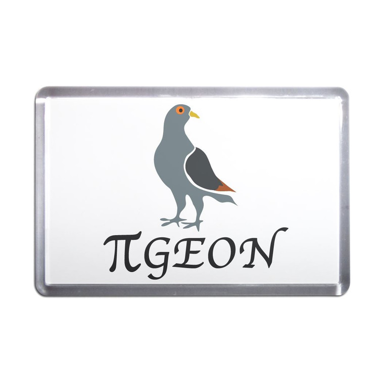 Pi Pigeon - Plastic Fridge Magnet