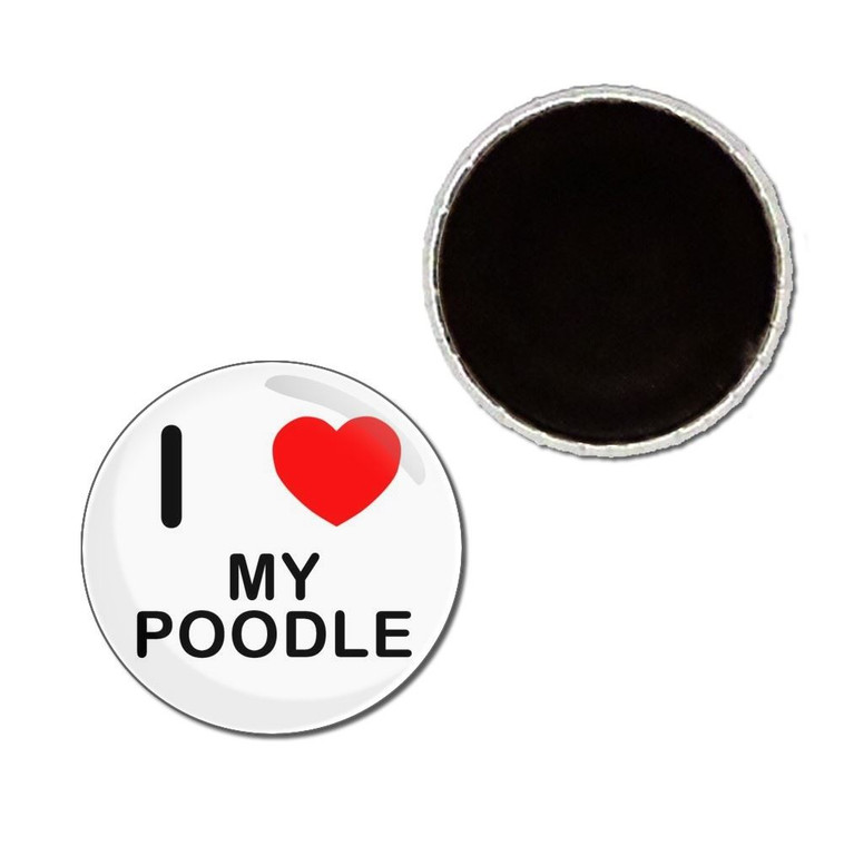 I Love My Poodle - Button Badge Fridge Magnet