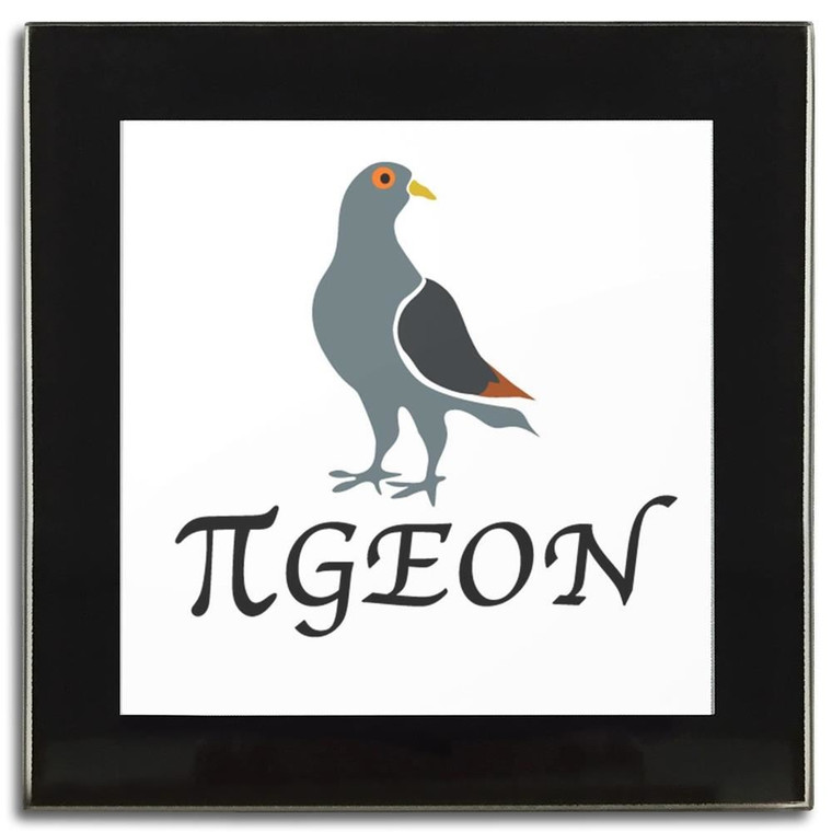 Pi Pigeon - Square Glass Coaster