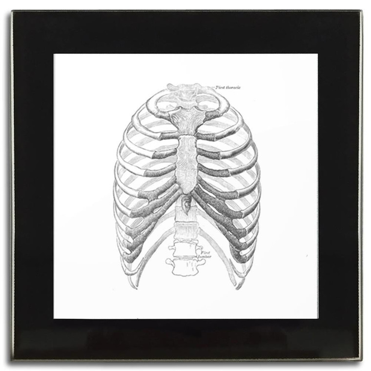 Ribcage - Square Glass Coaster