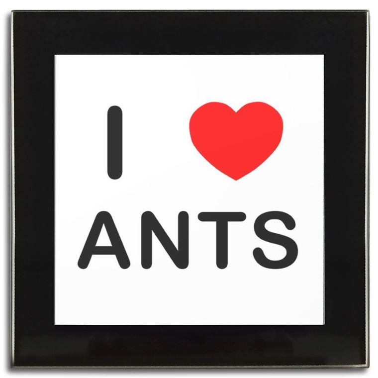 I Love Ants - Square Glass Coaster