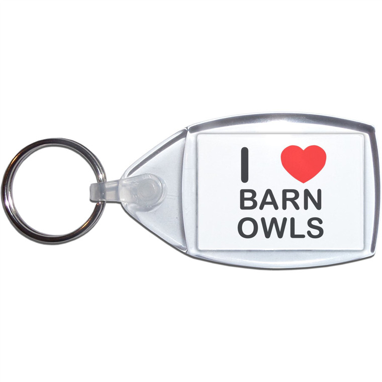 I Love Barn Owls - Clear Plastic Key Ring Size Choice New