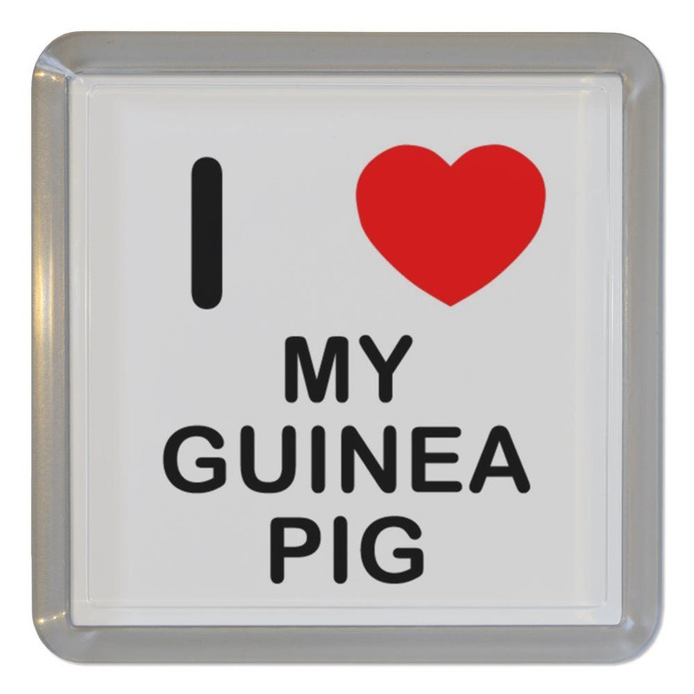 I Love My Guinea Pig - Plastic Tea Coaster / Beer Mat