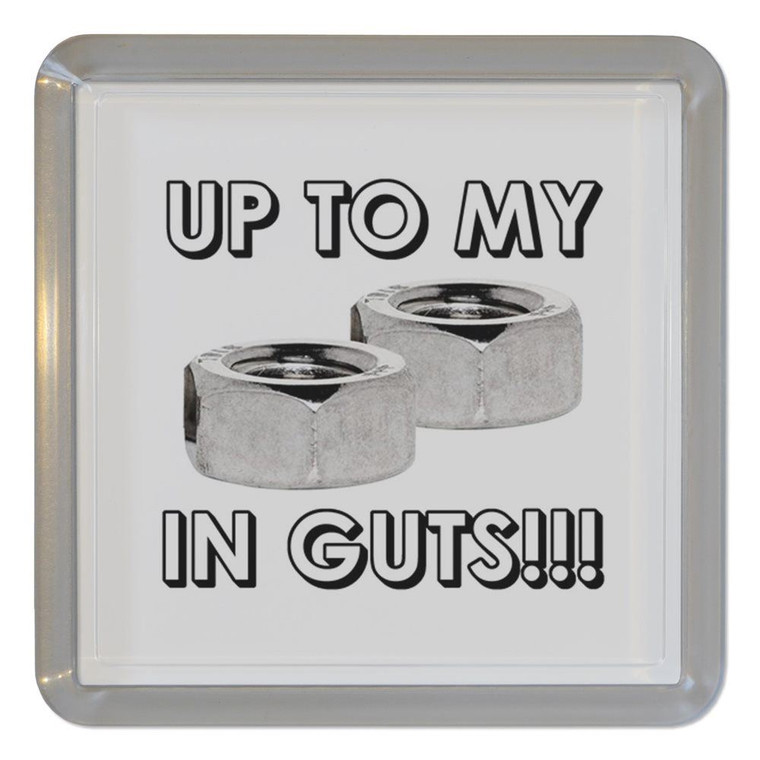 Up To My Nuts In Guts - Plastic Tea Coaster / Beer Mat