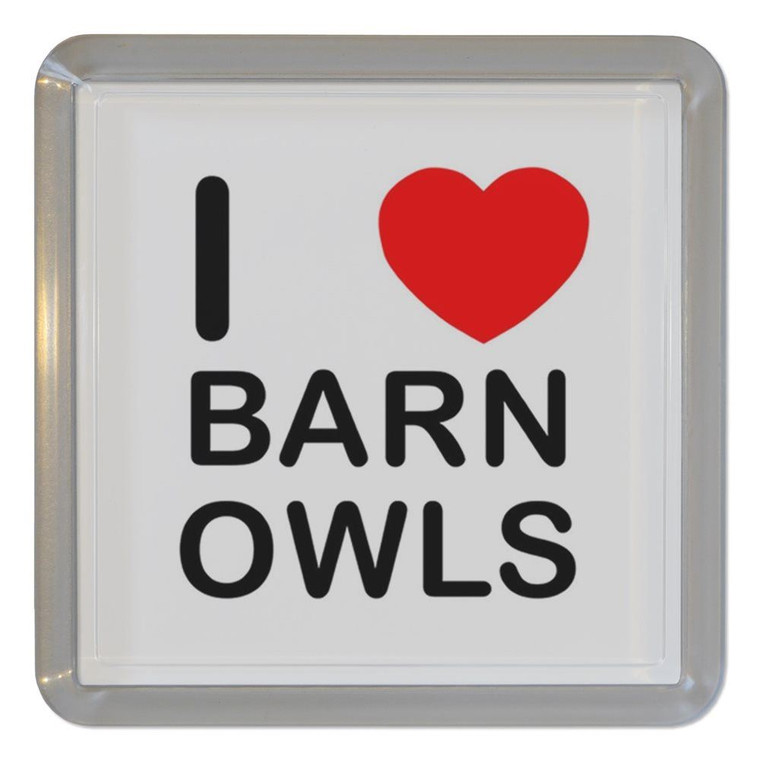 I Love Barn Owls - Plastic Tea Coaster / Beer Mat