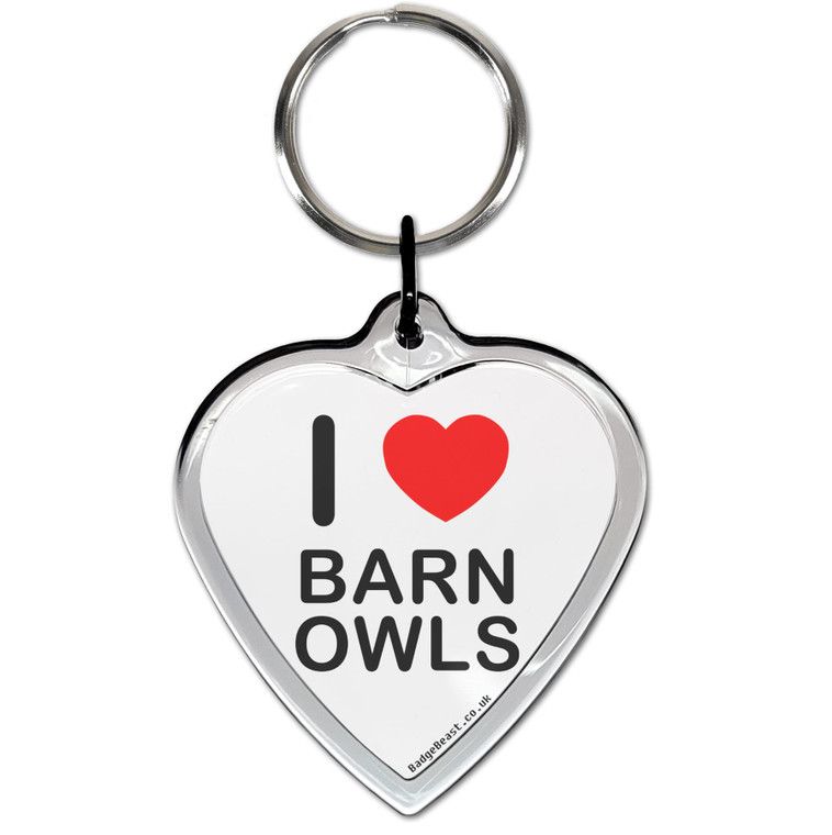 I Love Barn Owls Small Heart Shaped Key Ring
