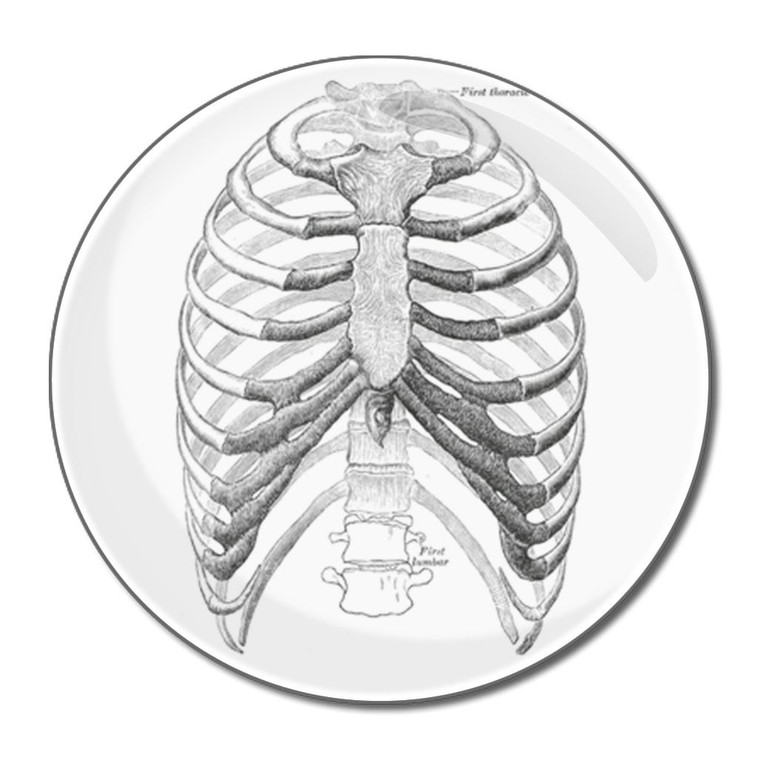 Ribcage - Round Compact Mirror Ribcage - Round Compact Mirror