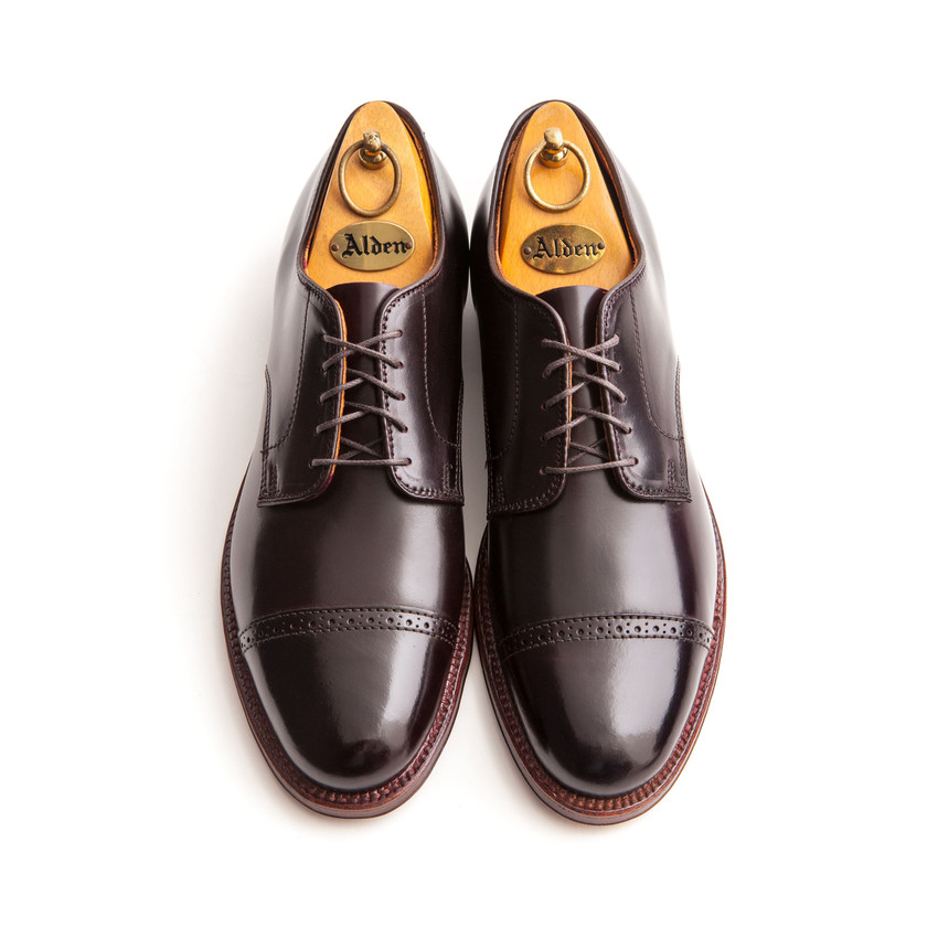 alden longwing color 8