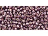 TOHO Glass Seed Bead, Size 11, 2.1mm, Silver-Lined Milky Nutmeg (Tube)