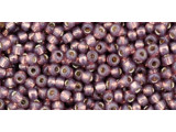 TOHO Glass Seed Bead, Size 11, 2.1mm, Silver-Lined Milky Nutmeg (Tube)