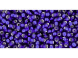 TOHO Glass Seed Bead, Size 11, 2.1mm, Silver-Lined Frosted Cobalt (Tube)