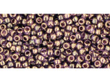 TOHO Glass Seed Bead, Size 11, 2.1mm, Gold-Lustered Lt Tanzanite (Tube)