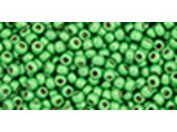 TOHO Glass Seed Bead, Size 11, 2.1mm, Permafinish - Matte Galvanized Green Apple (Tube)