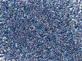 TOHO Glass Seed Bead, Size 15, 1.5mm, Inside-Color Luster Crystal/Capri Blue-Lined (Tube)