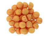 CzechMates 2-Hole 7mm Pacifica Tangerine Cabochon Beads 2.5-Inch Tube