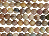 Bring earthy style to designs with the Dakota Stones 4mm Venus Jasper round beads. These beads are perfectly round in shape, so you can use them with any style. They are small in size, so they make excellent spacers. Try them as pops of color in your earring designs. These gemstone beads feature warm, earthy tones like beige, peach, brown and gray. They are sure to add soothing style to your designs. Venus Jasper takes its name from the planet Venus, which was named for the Roman goddess of love and beauty. It is also referred to as orbicular rhyolite. Metaphysical Properties: Jasper is a stone used from grounding, stability, strength and healing.Because gemstones are natural materials, appearances may vary from piece to piece. Each strand includes approximately 52 beads.