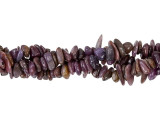 Rich color fills these ruby beads. These gemstone beads from Dakota Stones display deep wine red colors with hints of purple. They feature organic chip shapes that will add texture and dimension to your style. They are versatile in size, so you can use them in necklaces, bracelets, and even earrings. These beads would work well with antique brass elements for a vintage look. Metaphysical Properties: Ruby is a stone of passion, protection, and prosperity and is associated with love.Because gemstones are natural materials, appearances may vary from bead to bead.Length 4.5-13.5mm, Width 1.5-5mm