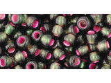 TOHO Glass Seed Bead, Size 6, Dyed Silver-Lined Pink Frosted Olivine (Tube)