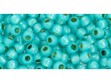 TOHO Glass Seed Bead, Size 6, PermaFinish - Translucent Silver-Lined Teal (Tube)