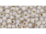 TOHO Glass Seed Bead, Size 6, PermaFinish - Translucent Silver-Lined Cloud (Tube)