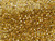 TOHO Glass Seed Bead, Size 8, 3mm, Copper-Lined Lt Topaz (Tube) TOHO Glass Seed Bead, Size 8, 3mm, Copper-Lined Lt Topaz (Tube)