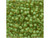TOHO Glass Seed Bead, Size 8, 3mm, Inside-Color Jonquil/Mint Julep-Lined (Tube)