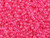 TOHO Glass Seed Bead, Size 8, 3mm, Luminous Neon Pink (Tube) TOHO Glass Seed Bead, Size 8, 3mm, Luminous Neon Pink (Tube)