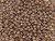 TOHO Glass Seed Bead, Size 8, 3mm, PermaFinish - Galvanized Mauve (Tube) TOHO Glass Seed Bead, Size 8, 3mm, PermaFinish - Galvanized Mauve (Tube)
