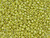 TOHO Glass Seed Bead, Size 8, 3mm, Permafinish - Galvanized Lemon Gold (Tube)