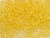 TOHO Glass Seed Bead, Size 8, 3mm, HYBRID Sueded Gold Topaz (Tube) TOHO Glass Seed Bead, Size 8, 3mm, HYBRID Sueded Gold Topaz (Tube)