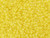 TOHO Glass Seed Bead, Size 11, 2.1mm, Transparent-Rainbow Frosted Lemon (Tube) TOHO Glass Seed Bead, Size 11, 2.1mm, Transparent-Rainbow Frosted Lemon (Tube)
