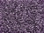 TOHO Glass Seed Bead, Size 11, 2.1mm, Transparent Sugar Plum (Tube) TOHO Glass Seed Bead, Size 11, 2.1mm, Transparent Sugar Plum (Tube)