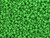 TOHO Glass Seed Bead, Size 11, 2.1mm, Opaque-Frosted Mint Green (Tube) TOHO Glass Seed Bead, Size 11, 2.1mm, Opaque-Frosted Mint Green (Tube)