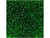 TOHO Glass Seed Bead, Size 11, 2.1mm, Transparent Grass Green (Tube)