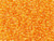 TOHO Glass Seed Bead, Size 11, 2.1mm, Luminous Neon Tangerine (Tube) TOHO Glass Seed Bead, Size 11, 2.1mm, Luminous Neon Tangerine (Tube)