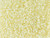 TOHO Glass Seed Bead, Size 11, 2.1mm, PermaFinish - Silver-Lined Milky Lt Jonquil (Tube) TOHO Glass Seed Bead, Size 11, 2.1mm, PermaFinish - Silver-Lined Milky Lt Jonquil (Tube)