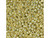 TOHO Glass Seed Bead, Size 11, 2.1mm, PermaFinish - Galvanized Yellow Gold (Tube) TOHO Glass Seed Bead, Size 11, 2.1mm, PermaFinish - Galvanized Yellow Gold (Tube)