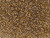 TOHO Glass Seed Bead, Size 15, 1.5mm, Gold-Lined Topaz (Tube) TOHO Glass Seed Bead, Size 15, 1.5mm, Gold-Lined Topaz (Tube)