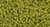 TOHO Glass Seed Bead, Size 15, 1.5mm, Semi Glazed Rainbow - Lemongrass (tube)