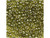 TOHO Glass Seed Bead, Size 15, 1.5mm, Gold-Lustered Green Tea (Tube) TOHO Glass Seed Bead, Size 15, 1.5mm, Gold-Lustered Green Tea (Tube)
