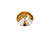 PRESTIGE 1122 12mm Rivoli Crystal Golden Shadow (6 Pieces) PRESTIGE 1122 12mm Rivoli Crystal Golden Shadow (6 Pieces)