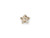 PRESTIGE H2754 6mm Star Flower Flatback Hotfix Crystal Golden Shadow (6 Pieces) PRESTIGE H2754 6mm Star Flower Flatback Hotfix Crystal Golden Shadow (6 Pieces)