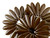 CzechMates Glass 16 x 5mm Chocolate Brown Two-Hole Dagger Bead (50pc Strand) CzechMates Glass 16 x 5mm Chocolate Brown Two-Hole Dagger Bead (50pc Strand)