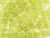 CzechMates Glass 6mm 4-Hole Sueded Gold Olivine QuadraTile Bead 2.5-Inch Tube CzechMates Glass 6mm 4-Hole Sueded Gold Olivine QuadraTile Bead 2.5-Inch Tube