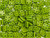 CzechMates Glass 6mm 4-Hole Opaque Olive QuadraTile Bead 2.5-Inch Tube CzechMates Glass 6mm 4-Hole Opaque Olive QuadraTile Bead 2.5-Inch Tube
