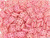 CzechMates Glass 6mm 4-Hole Matte Coral Pink QuadraTile Bead 2.5-Inch Tube CzechMates Glass 6mm 4-Hole Matte Coral Pink QuadraTile Bead 2.5-Inch Tube